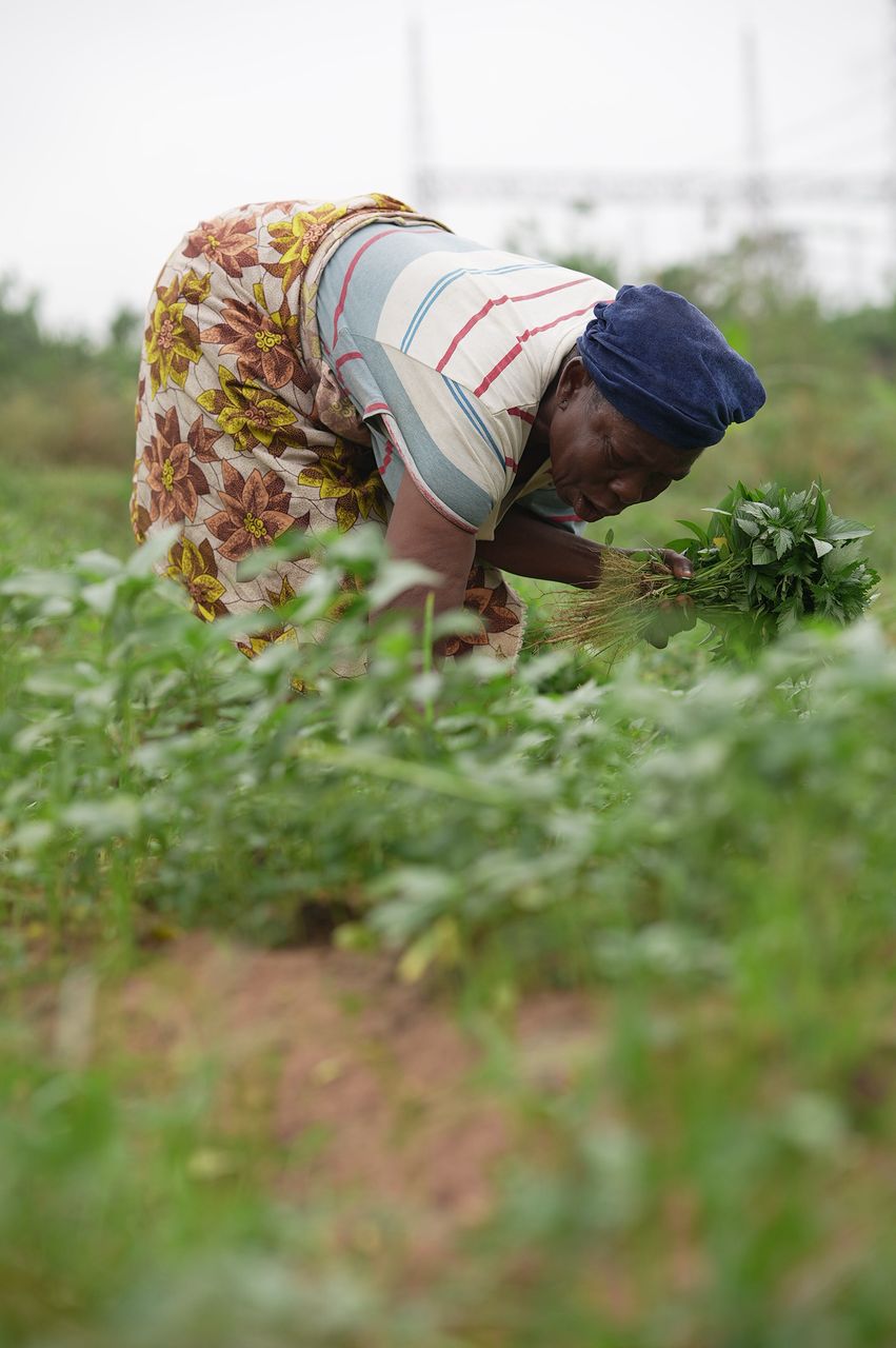 Stephanie Isuma Empowerment Foundation